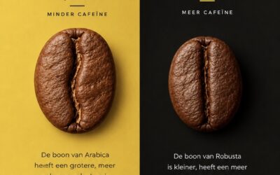 Verschil Arabica en Robusta: welke koffiebonen passen bij jou?